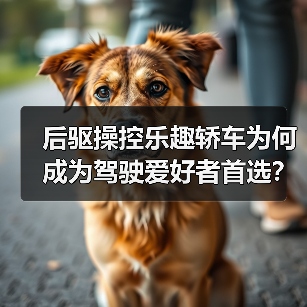 后驱操控乐趣轿车为何成为驾驶爱好者首选？（图1）