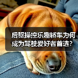 后驱操控乐趣轿车为何成为驾驶爱好者首选？（图4）