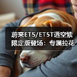 蔚来ET5/ET5T远空紫限定版登场：专属拉花+神秘色彩引期待（图3）
