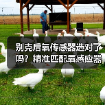 别克后氧传感器选对了吗？精准匹配氧感应器与空燃比传感器（图4）
