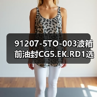 91207-5TO-003波箱前油封CG5.EK.RD1选购指南（图1）