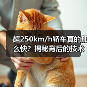超250km/h轿车真的那么快？揭秘背后的技术真相（图3）