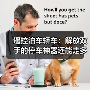 遥控泊车轿车：解放双手的停车神器还能走多远？（图3）