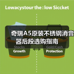 奇瑞A5原装不锈钢消音器后段选购指南（图2）