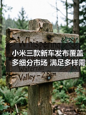 小米三款新车发布覆盖多细分市场 满足多样需求（图2）