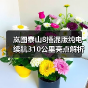 岚图泰山8插混版纯电续航310公里亮点解析（图4）