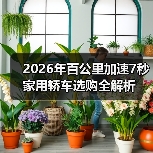 2026年百公里加速7秒家用轿车选购全解析(图2) 2026年百公里加速7秒家用轿车选购全解析(图2)