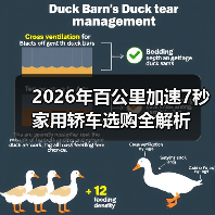 2026年百公里加速7秒家用轿车选购全解析(图3) 2026年百公里加速7秒家用轿车选购全解析(图3)