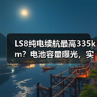 LS8纯电续航最高335km?电池容量曝光,实测表现如何?(图3) LS8纯电续航最高335km?电池容量曝光,实测表现如何?(图3)