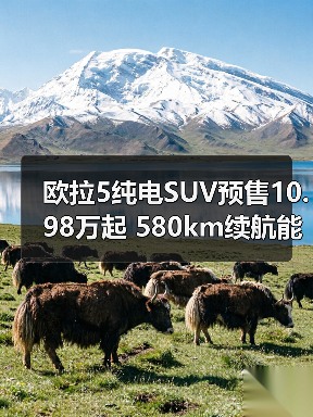 欧拉5纯电SUV预售10.98万起 580km续航能否突围？（图2）