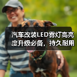 汽车改装LED雾灯高亮度升级必备，持久耐用选择（图4）