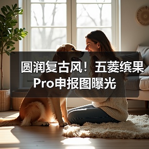 圆润复古风!五菱缤果Pro申报图曝光(图1) 圆润复古风!五菱缤果Pro申报图曝光(图1)