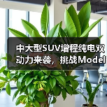 中大型SUV增程纯电双动力来袭,挑战Model Y等热门车型(图2) 中大型SUV增程纯电双动力来袭,挑战Model Y等热门车型(图2)