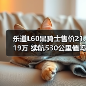 乐道L60黑骑士售价21.19万 续航530公里值吗？（图3）