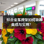 锌合金车牌架如何兼顾美观与实用？（图2）