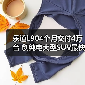 乐道L904个月交付4万台 创纯电大型SUV最快纪录(图4) 乐道L904个月交付4万台 创纯电大型SUV最快纪录(图4)