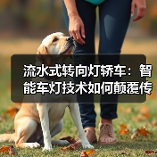 流水式转向灯轿车:智能车灯技术如何颠覆传统安全性?(图2) 流水式转向灯轿车:智能车灯技术如何颠覆传统安全性?(图2)