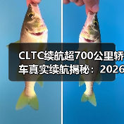 CLTC续航超700公里轿车真实续航揭秘:2026年长途出行最佳选择(图3) CLTC续航超700公里轿车真实续航揭秘:2026年长途出行最佳选择(图3)