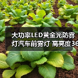大功率LED黄金光防雾灯汽车前雾灯 高亮度360度无阴影(图1) 大功率LED黄金光防雾灯汽车前雾灯 高亮度360度无阴影(图1)