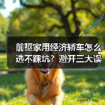 前驱家用经济轿车怎么选不踩坑?避开三大误区省钱技巧(图4) 前驱家用经济轿车怎么选不踩坑?避开三大误区省钱技巧(图4)