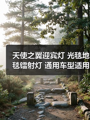 天使之翼迎宾灯 光毯地毯镭射灯 通用车型适用氛围灯底盘灯(图1) 天使之翼迎宾灯 光毯地毯镭射灯 通用车型适用氛围灯底盘灯(图1)