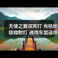 天使之翼迎宾灯 光毯地毯镭射灯 通用车型适用氛围灯底盘灯(图3) 天使之翼迎宾灯 光毯地毯镭射灯 通用车型适用氛围灯底盘灯(图3)