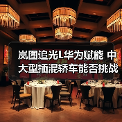 岚图追光L华为赋能 中大型插混轿车能否挑战豪华市场(图3) 岚图追光L华为赋能 中大型插混轿车能否挑战豪华市场(图3)