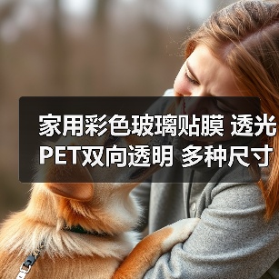 家用彩色玻璃贴膜 透光PET双向透明 多种尺寸自由定制（图2）