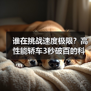 谁在挑战速度极限？高性能轿车3秒破百的科技秘密（图3）