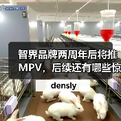 智界品牌两周年后将推MPV，后续还有哪些惊喜？（图4）
