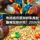 电磁感应悬架轿车真能颠覆驾驶体验?2026年技术真相全解析(图2) 电磁感应悬架轿车真能颠覆驾驶体验?2026年技术真相全解析(图2)