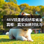 48V轻混系统轿车省油真相：真实油耗对比与驾驶体验解析（图2）