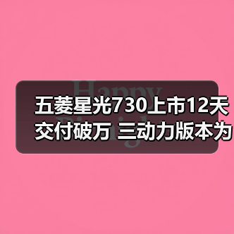 五菱星光730上市12天交付破万 三动力版本为何热卖?(图3) 五菱星光730上市12天交付破万 三动力版本为何热卖?(图3)