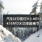 汽车LED雾灯H3 4014 45SMD大功率超亮节能解码灯（图2）