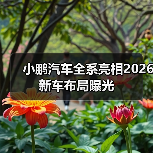 小鹏汽车全系亮相2026新车布局曝光（图2）