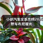 小鹏汽车全系亮相2026新车布局曝光（图4）