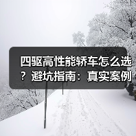 四驱高性能轿车怎么选?避坑指南:真实案例深度解析(图3) 四驱高性能轿车怎么选?避坑指南:真实案例深度解析(图3)