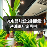 充电器贴纸定制批发 卡通贴纸厂家直供（图2）