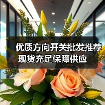 优质方向开关批发推荐 现货充足保障供应(图4) 优质方向开关批发推荐 现货充足保障供应(图4)