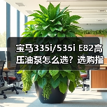 宝马335i/535i E82高压油泵怎么选？选购指南（图2）