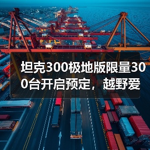 坦克300极地版限量300台开启预定,越野爱好者必看?(图4) 坦克300极地版限量300台开启预定,越野爱好者必看?(图4)