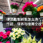 硬顶跑车轿车怎么选?性能、保养与使用全攻略(图4) 硬顶跑车轿车怎么选?性能、保养与使用全攻略(图4)