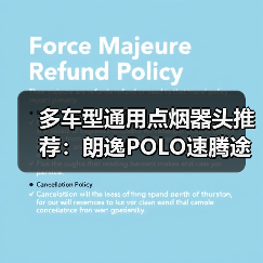 多车型通用点烟器头推荐：朗逸POLO速腾途安等适用（图3）