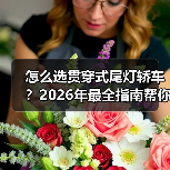 怎么选贯穿式尾灯轿车?2026年最全指南帮你避坑(图4) 怎么选贯穿式尾灯轿车?2026年最全指南帮你避坑(图4)