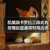 凯美瑞卡罗拉三段式有骨雨刮器通用耐用选哪个？（图2）