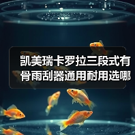 凯美瑞卡罗拉三段式有骨雨刮器通用耐用选哪个？（图3）