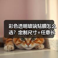 彩色透明玻璃贴膜怎么选？定制尺寸+任意长度，家用防晒隔热神器（图3）