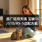 原厂低频天线 宝骏560/510/RS-5适配方案（图1）