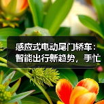感应式电动尾门轿车:智能出行新趋势,手忙脚乱说拜拜(图1) 感应式电动尾门轿车:智能出行新趋势,手忙脚乱说拜拜(图1)