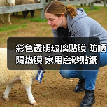彩色透明玻璃贴膜 防晒隔热膜 家用磨砂贴纸 定制宽度多选（图1）